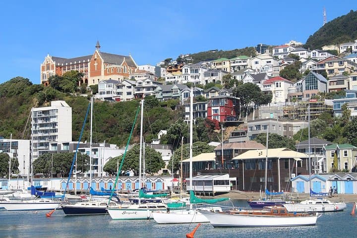Private Romantic Walking Tour in Wellington — Mount Victoria Lookout & City Love Stories