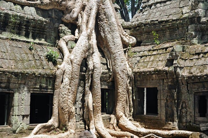 Private Tuk Tuk Tour to Angkor Wat: Small Circuit + Two Hidden Temples