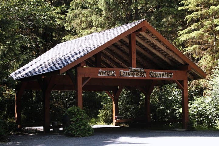 Exploring Ketchikan's Rainforest Sanctuary and Totem Park: An Immersive Alaska Wildlife Walk photo 2