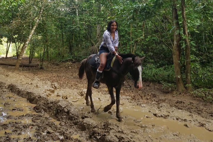 Uvero Alto Half-Day Horseback Riding — Small-Group Beach Tour from Punta Cana photo 4