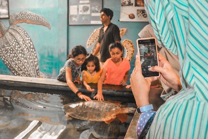 Coastal Ride to Galle from Colombo: Full-Day Private Tour & Madu River Safari photo 3