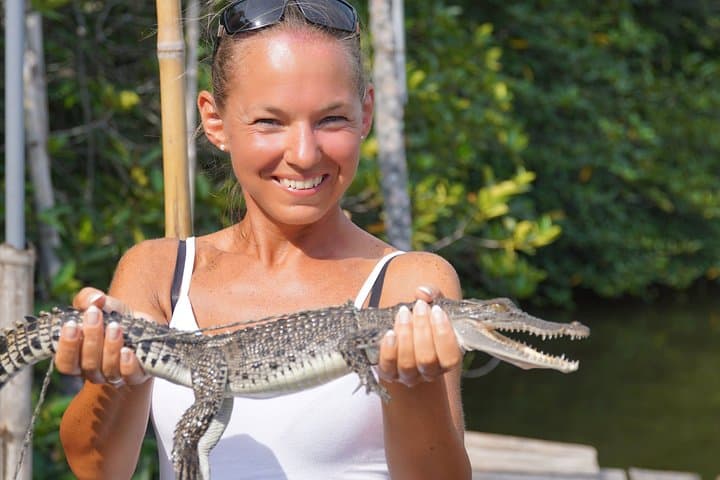 Coastal Ride to Galle from Colombo: Full-Day Private Tour & Madu River Safari photo 5