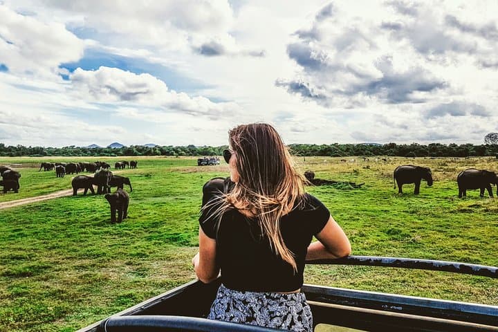 Kaudulla National Park Private Safari: Elephant Herds & Birding from Dambulla photo 3