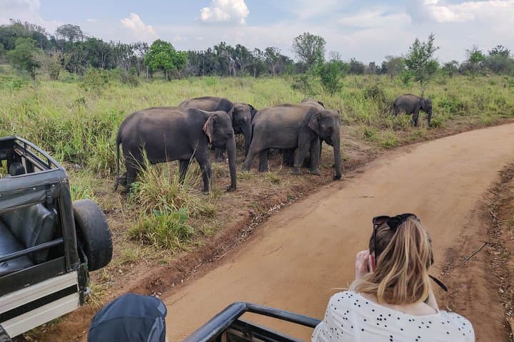 Hurulu Eco Park Private Safari with Naturalist — Habarana Jeep Safari photo 5