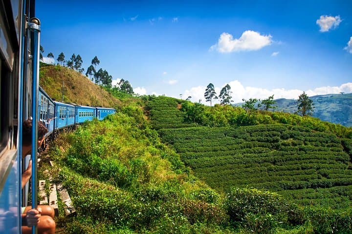Scenic Train to Nuwara Eliya: Tea Estates, Gregory Lake & Ramboda Falls Day Trip photo 1