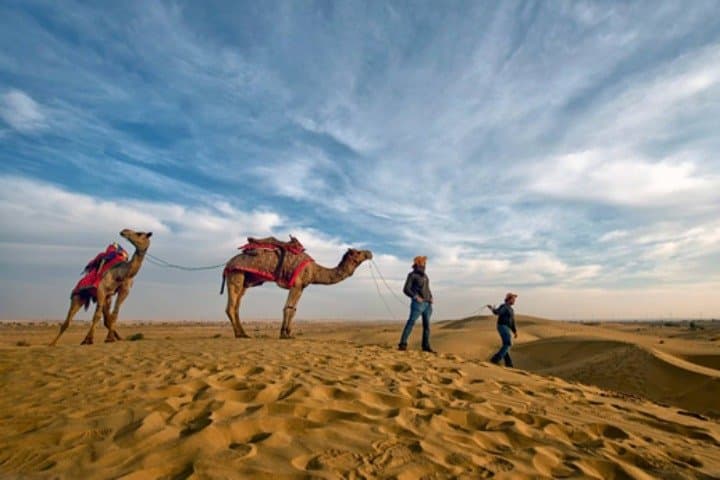 Sunset Camel Safari & Osian Temple Day Trip from Jodhpur