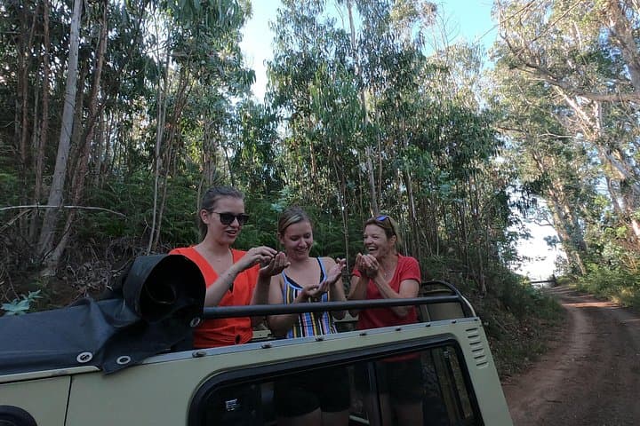 Madeira Northeast Safari: Private Santana Full-Day 4x4 Jeep Tour photo 3