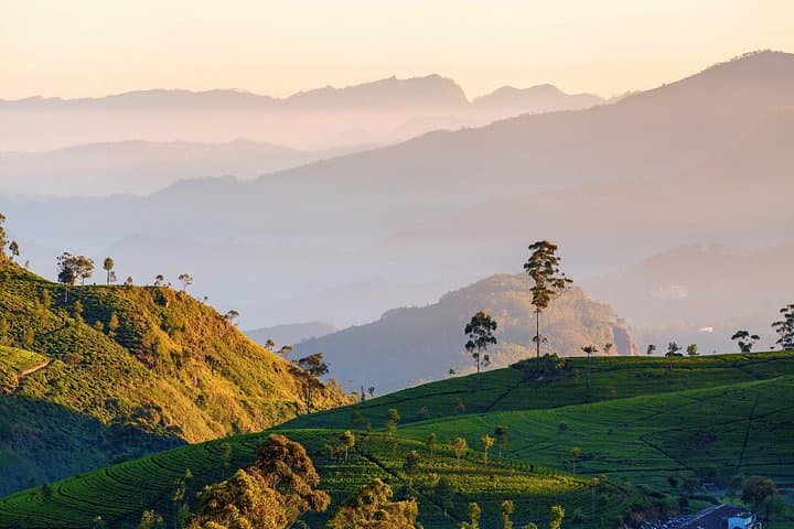 Day Trip to Nuwara Eliya Highlands from Kandy: Tea Estates, Ramboda Falls & Gregory Lake photo 4