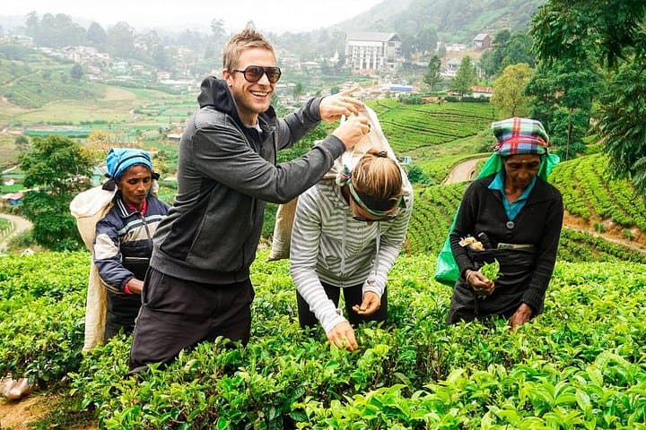 Day Trip to Nuwara Eliya Highlands from Kandy: Tea Estates, Ramboda Falls & Gregory Lake photo 1