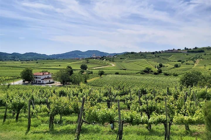 E-bike Experience Through Goriška Brda Vineyards — Day Trip from Ljubljana