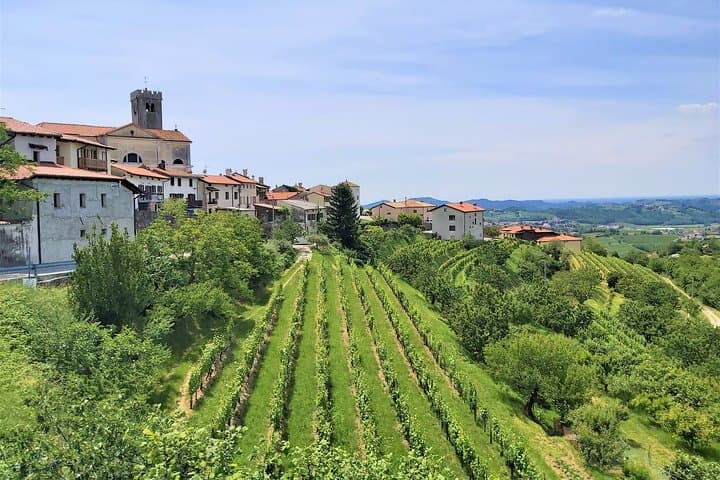 E-bike Experience Through Goriška Brda Vineyards — Day Trip from Ljubljana photo 3