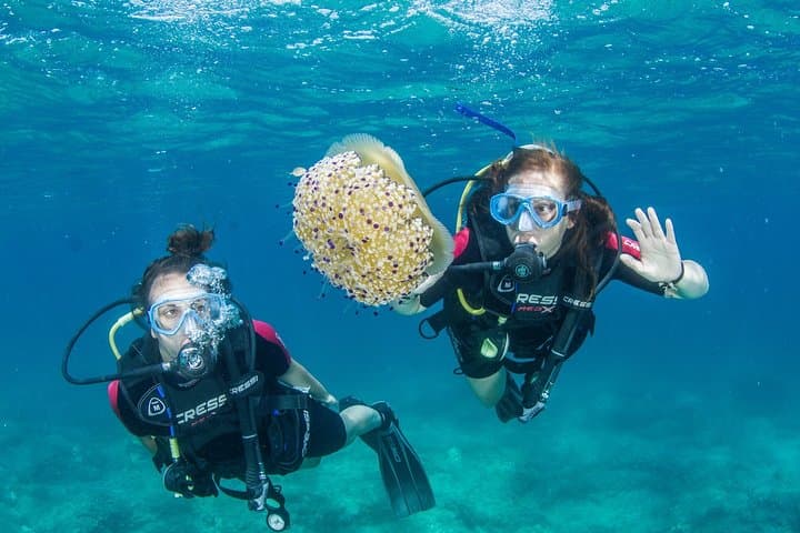 Beginner Scuba in Chania, Crete — SSI Try Scuba with Free Photos photo 3