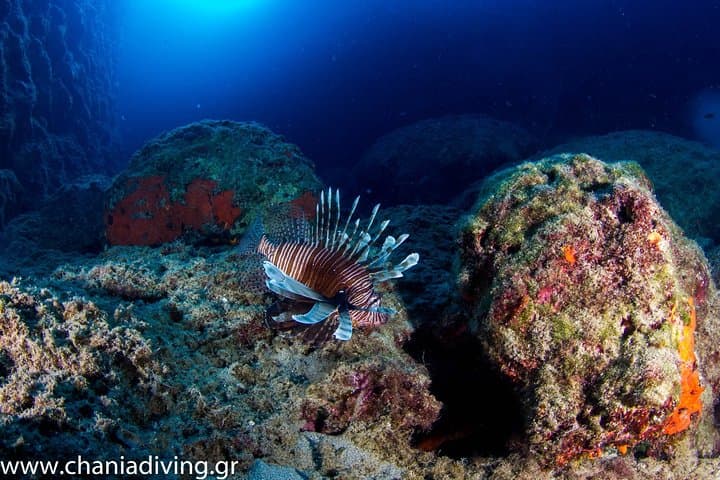 Beginner Scuba in Chania, Crete — SSI Try Scuba with Free Photos photo 5