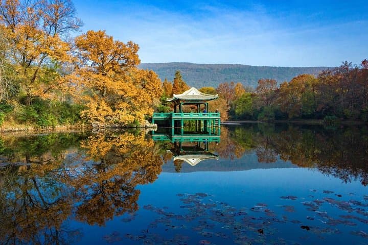 Flexible Private Nanjing Independent Tour — 8-Hour Private City Transfer & Self-Guided Sightseeing photo 2