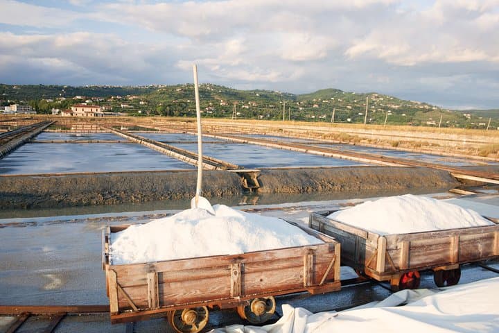 Skocjan Caves & Secovlje Salt Pans: Private Day Trip from Koper