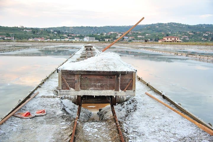 Skocjan Caves & Secovlje Salt Pans: Private Day Trip from Koper photo 3