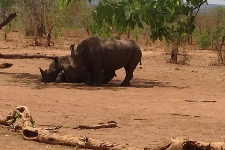 Livingstone Rhino Walk & 4x4 Game Drive at Mosi-oa-Tunya National Park photo 2