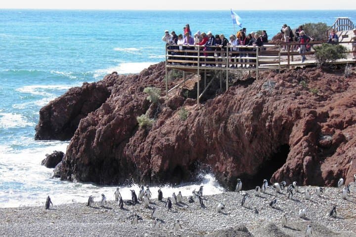 Penguin Watching at Punta Tombo — Day Tour from Puerto Madryn photo 6
