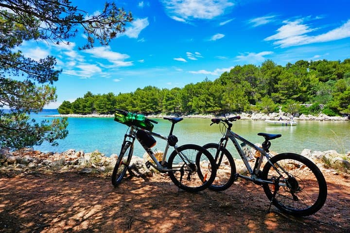 Ugljan Island Self-Guided Bike Tour — Coastal Rides & Olive-Grove Trails photo 1