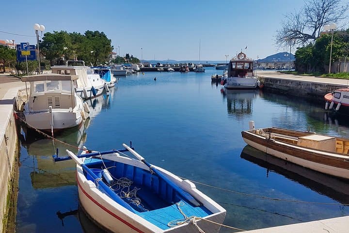 Ugljan Island Self-Guided Bike Tour — Coastal Rides & Olive-Grove Trails photo 3