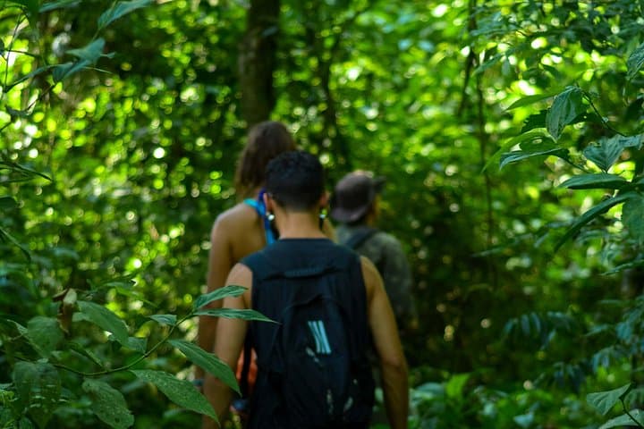 Forest Bathing in Iguaçu National Park: Shinrin-Yoku on Canafístula & São João Trails photo 3