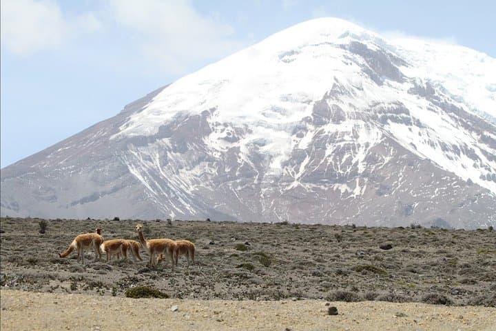 7-Day Cultural Journey Through the Ecuadorian Andes: Quito to Guayaquil photo 5