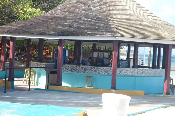 Private Snorkel Tour in Ocho Rios: Family-Friendly Reef Excursion from the Cruise Port photo 3