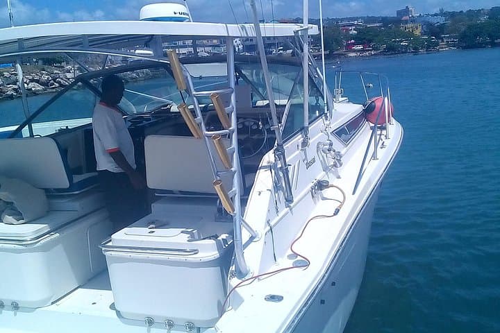 Discover Scuba Diving From Ocho Rios: PADI Intro Dives Near Runaway Bay photo 3