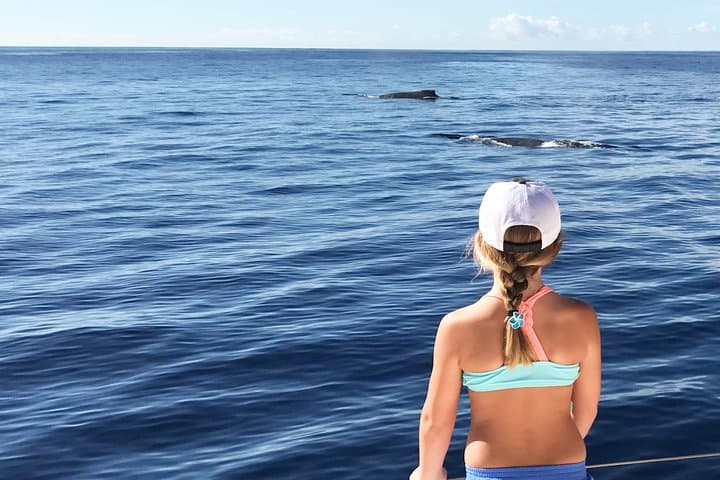 Private Oahu Yacht Snorkel Charter from Ko Olina — 3.5-Hour All-Inclusive Experience photo 3