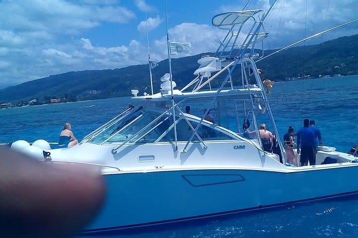 Get PADI Certified in Montego Bay: 2–4 Day Scuba Courses for Vacationers photo 5