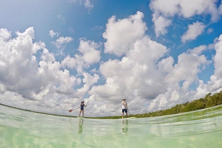 Paddle Kaan Lu'um: Guided Lagoon Stand-Up Paddleboard Tour from Tulum photo 5