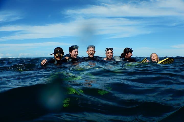 Glide Without a Stroke: Clovelly Non-Swimmer Underwater Scooter Tour photo 4