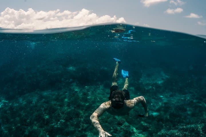 Snorkel Huraa's Reefs: Half-Day Dhoani Trip to Turtles & Rays photo 6