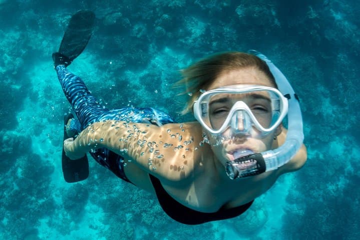 Snorkeling in Dhiffushi: Top Reefs, Wildlife & Practical Tips