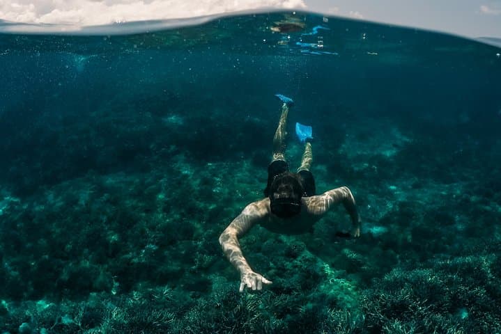 Snorkeling in Dhiffushi: Top Reefs, Wildlife & Practical Tips photo 6