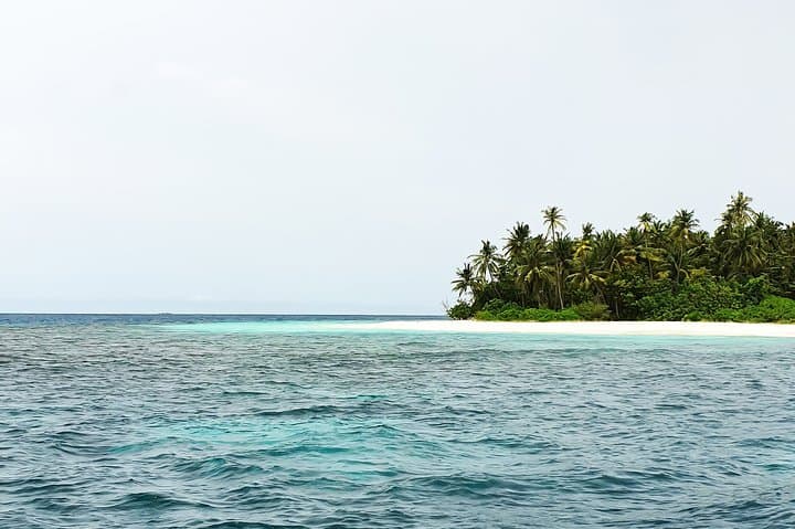 Dolphin Cruise in Dhiffushi: Evening Dhoani Boat Tour on Kaafu Atoll photo 3