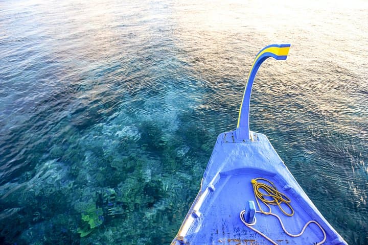 Dolphin Cruise in Dhiffushi: Evening Dhoani Boat Tour on Kaafu Atoll photo 4