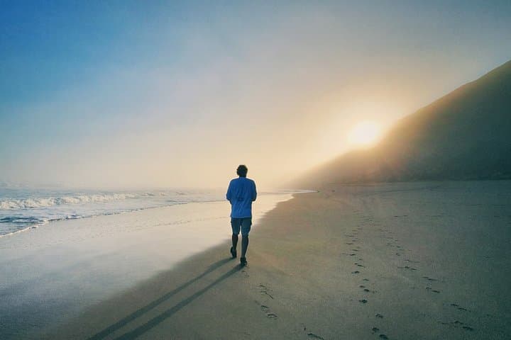 Garden Route Highlights: 4-Day Knysna, Tsitsikamma & Cango Caves Adventure photo 5