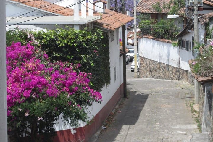 Valle de Bravo Day Trip: Velo de Novia Waterfall & Lake Yacht Ride photo 4