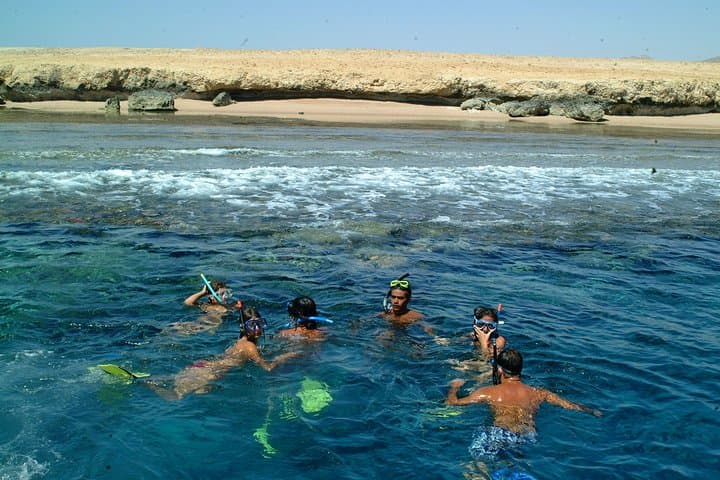 Snorkel Ras Mohamed National Park: Day Trip from Sharm el-Sheikh photo 5