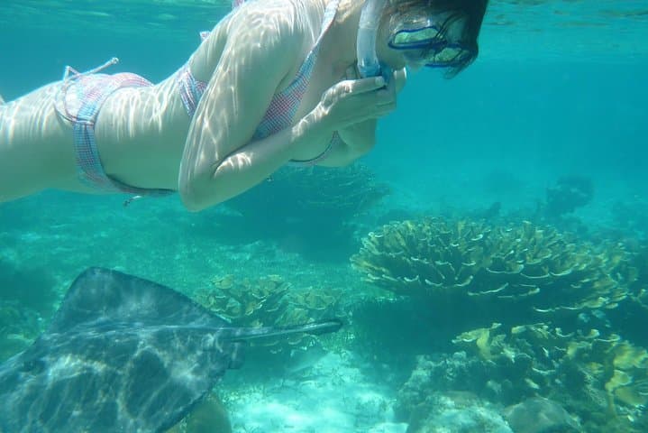 Snorkel Ras Mohamed National Park: Day Trip from Sharm el-Sheikh photo 2