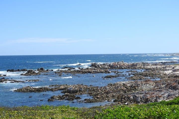 Port Elizabeth Wildside Scenic Drive: Coastal Views, Penguins & Dune Country photo 4