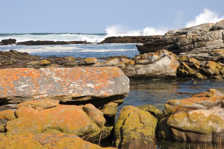 Port Elizabeth Wildside Scenic Drive: Coastal Views, Penguins & Dune Country photo 2