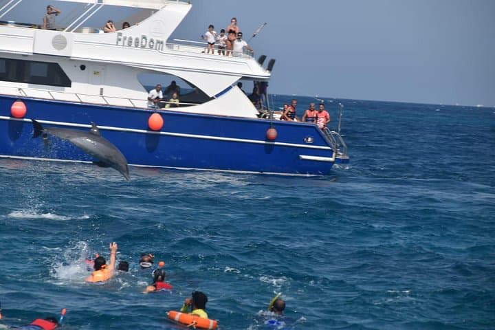 Snorkel the Dolphin House and Banana Boat Adventure from Hurghada photo 2