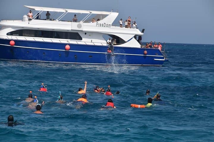 Snorkel the Dolphin House and Banana Boat Adventure from Hurghada photo 4