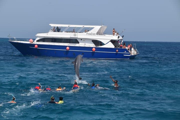 Snorkel the Dolphin House and Banana Boat Adventure from Hurghada photo 1