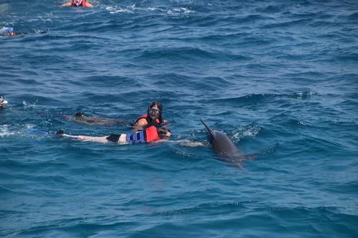 Snorkel the Dolphin House and Banana Boat Adventure from Hurghada photo 3
