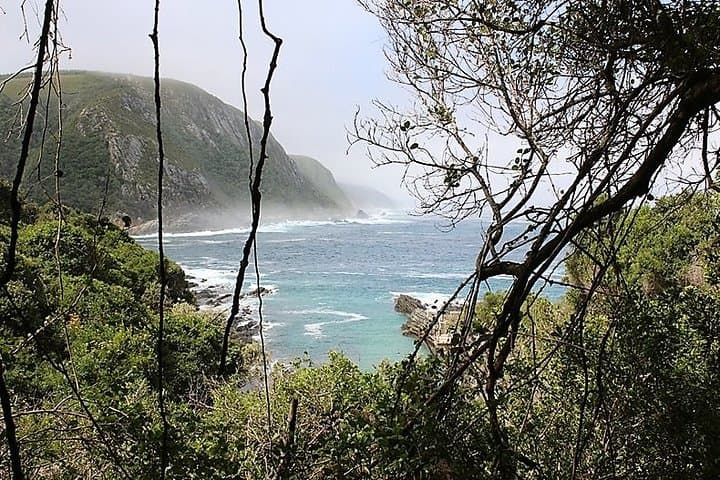 Garden Route Day Trip from Port Elizabeth to The Crags — Tsitsikamma, Monkeyland & Birds of Eden photo 6