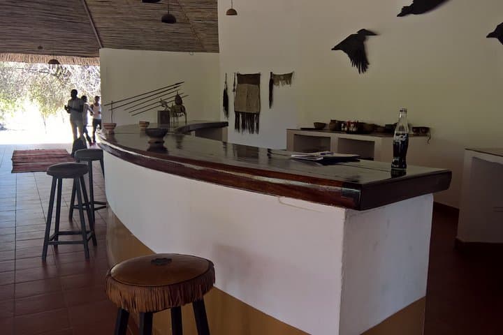 Zakouma Safari: Remote Wildlife Encounters in Chad's Wild East photo 2
