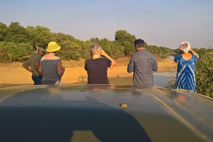 Zakouma Safari: Remote Wildlife Encounters in Chad's Wild East photo 3
